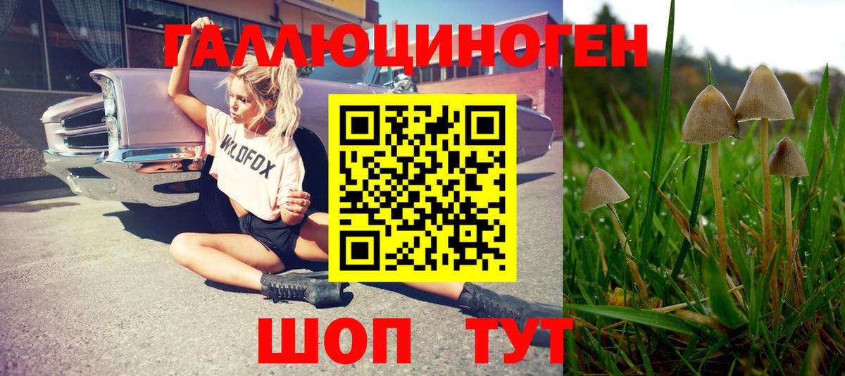 Старая Купавна  Галлюциногенные грибы GOLDEN TEACHER  закладка  Вход с VPN 