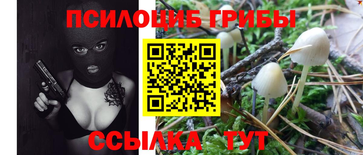 Псилоцибиновые грибы мицелий Старая Купавна